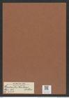 Cerataulus kinkerii A. Schm. (de-Toni-Nr.: Genus 173, Species 4455) Zeichnungen Sammlung Grunow Mappe 04380 (Herbarium_W_Grunow_drawings_Folder_04380)